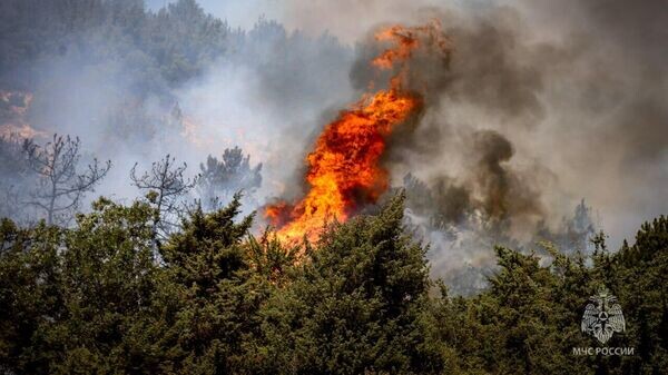    © ГУ МЧС России по г.Севастополю