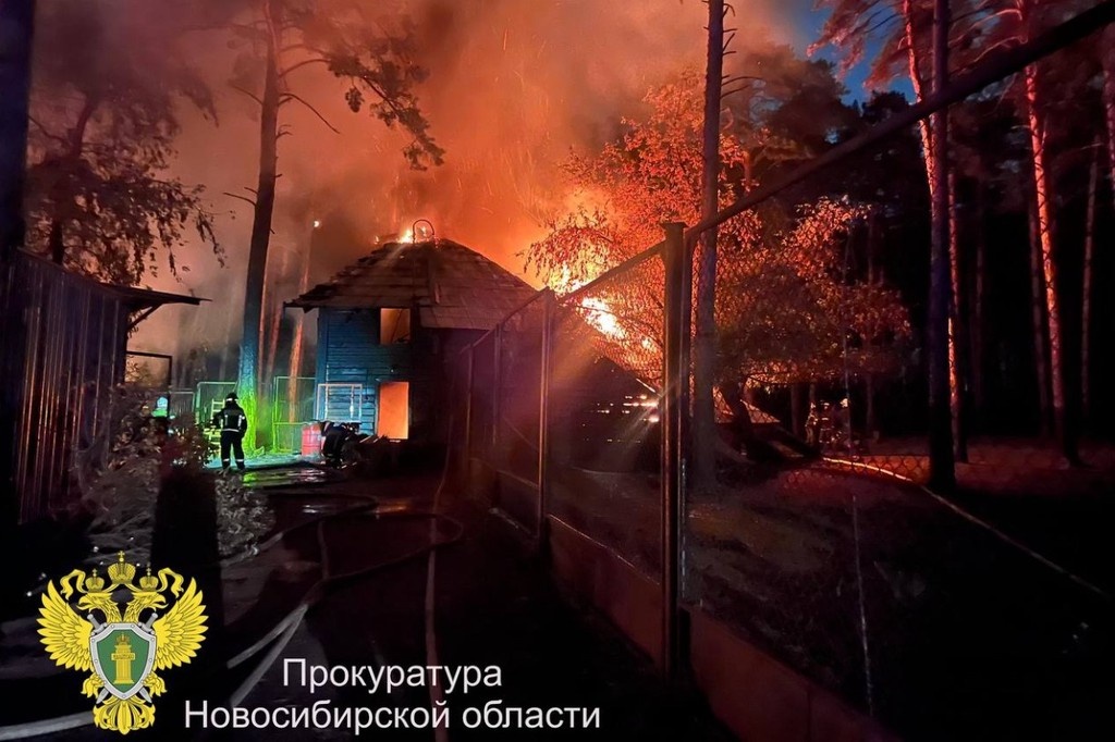    Фото © Telegram / Прокуратура Новосибирской области