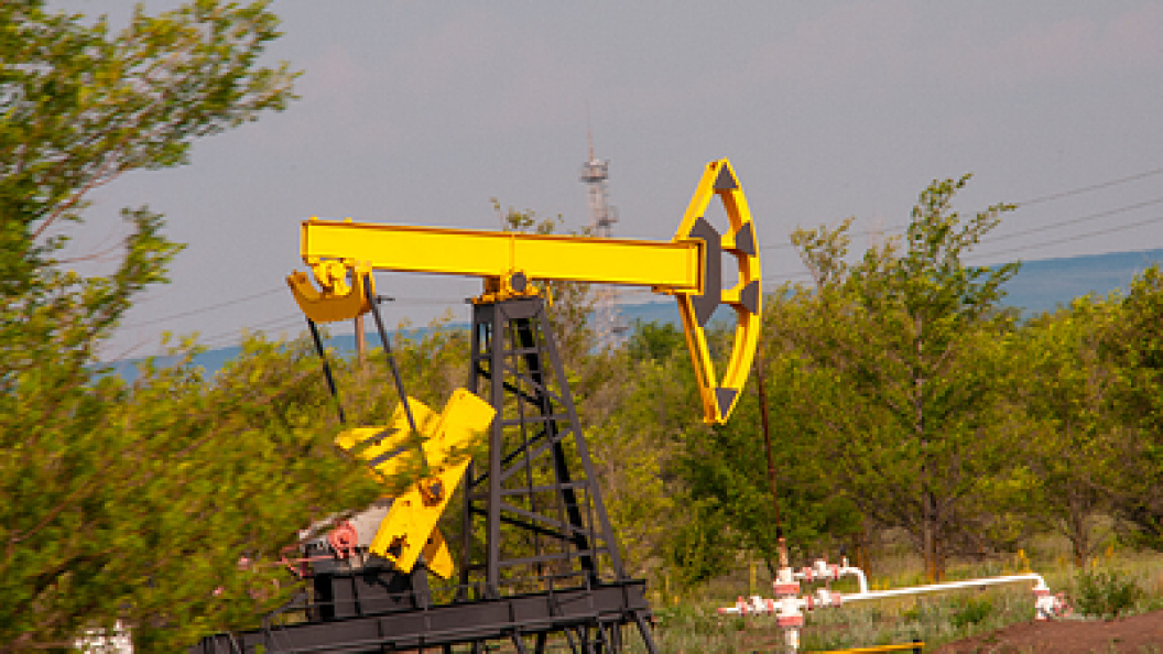    Фото: Svetlana Vozmilova/Globallookpress