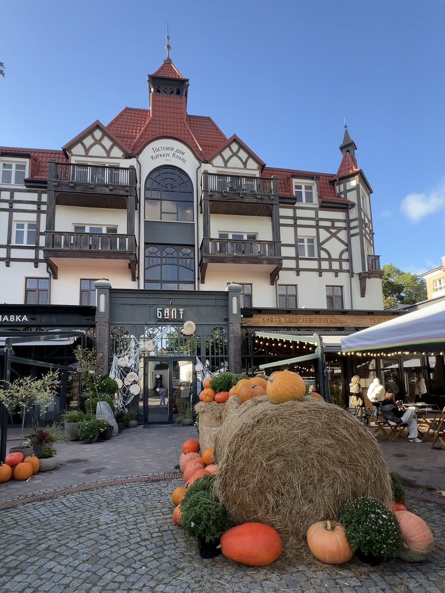 Зеленоградск этой осенью — это Пинтерест, который ожил.