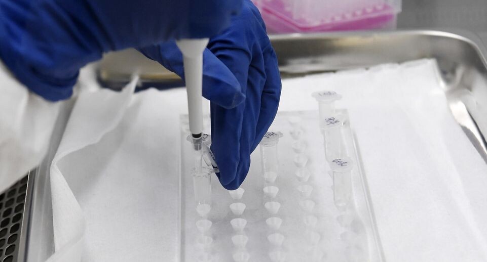    РИА «Новости»