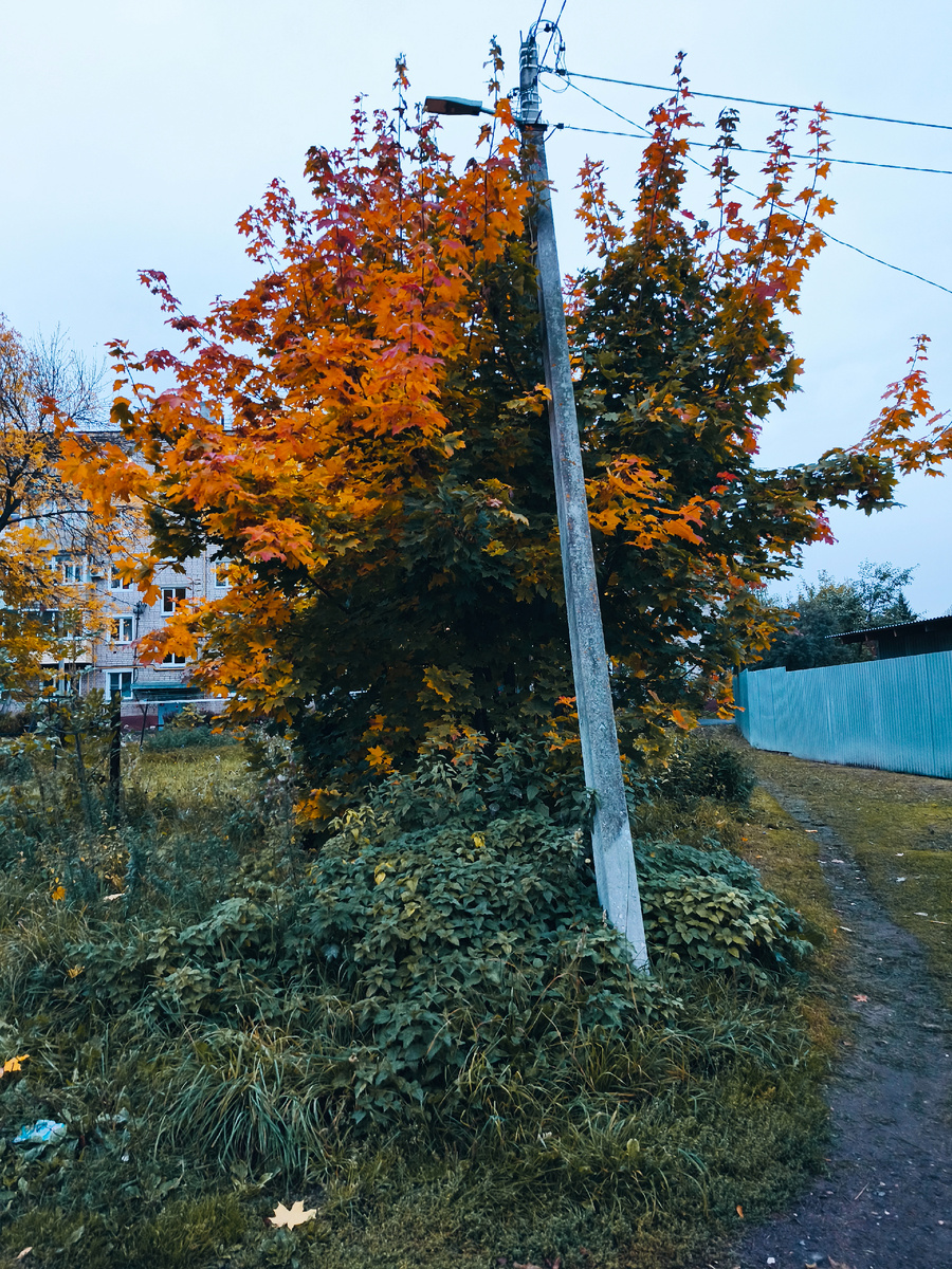 Душа иди на свет...