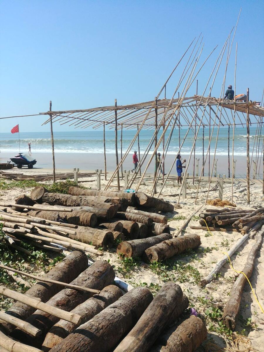 Строят шеки