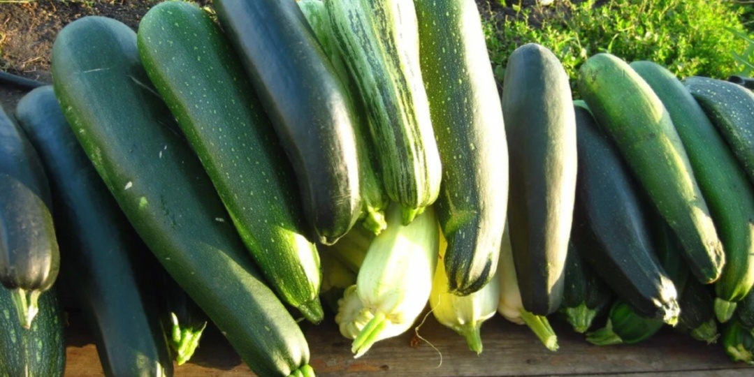 Кабачки по-венгерски 🌶️🔥