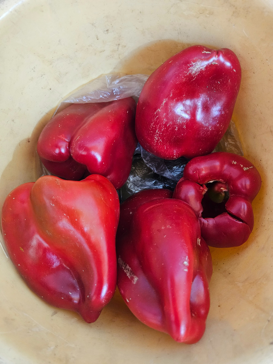 Перец капия