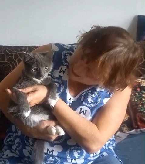 Сева. Котенок - фронтовичок, выкормленный из соски, встретился с "мамой"