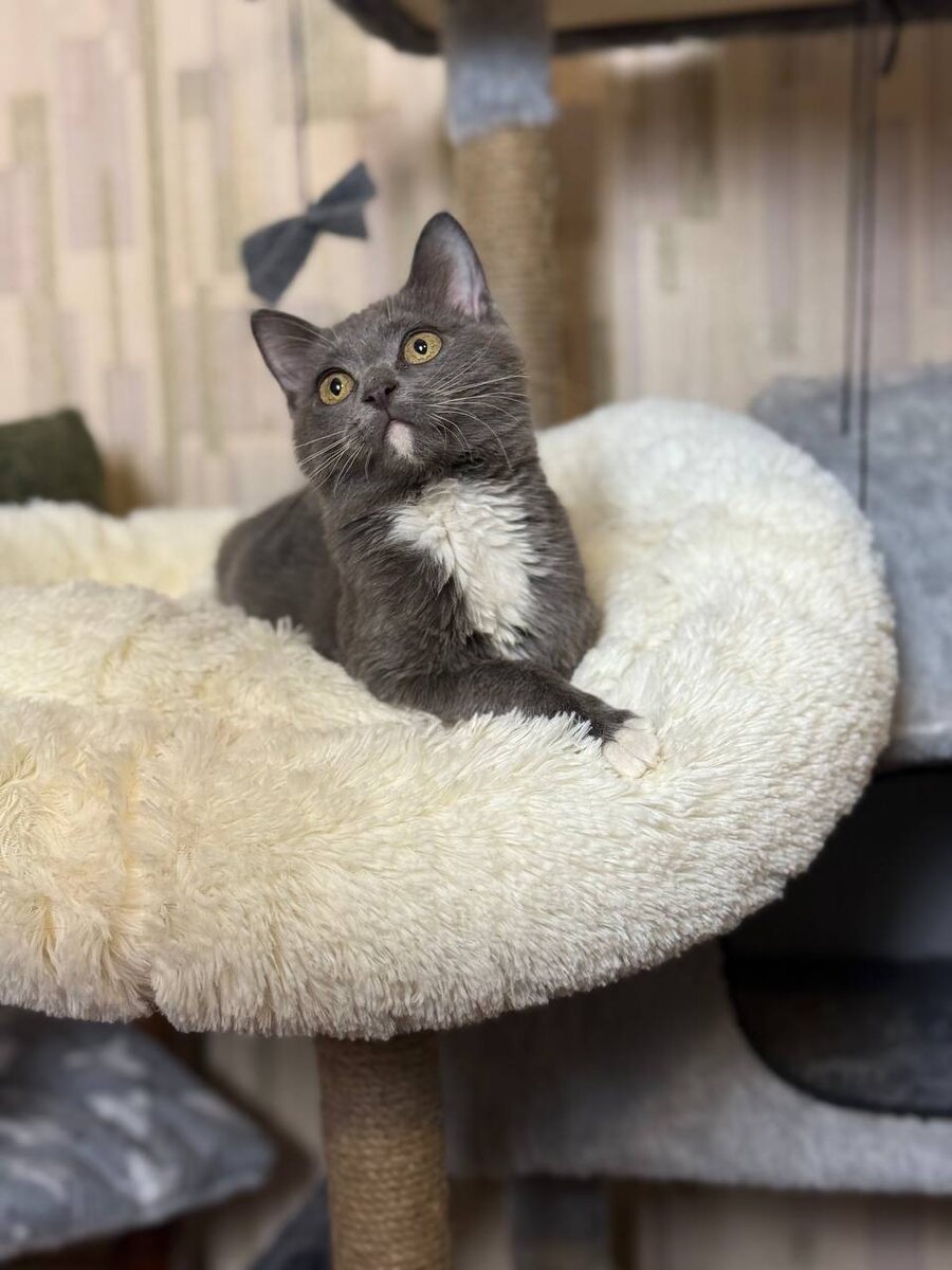 Севушка♥️