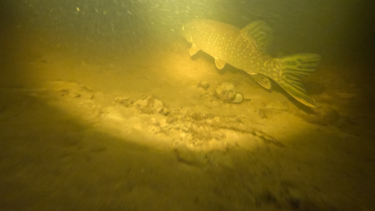 Просто красотка