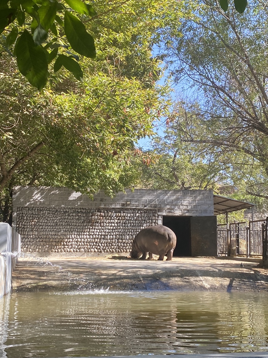 Ереванский зоопарк