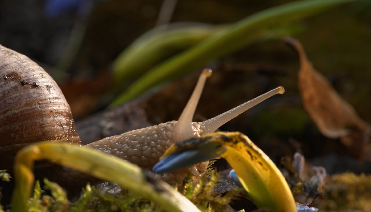 Кадр из фильма