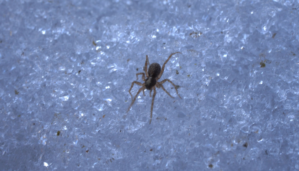 Кадр из фильма