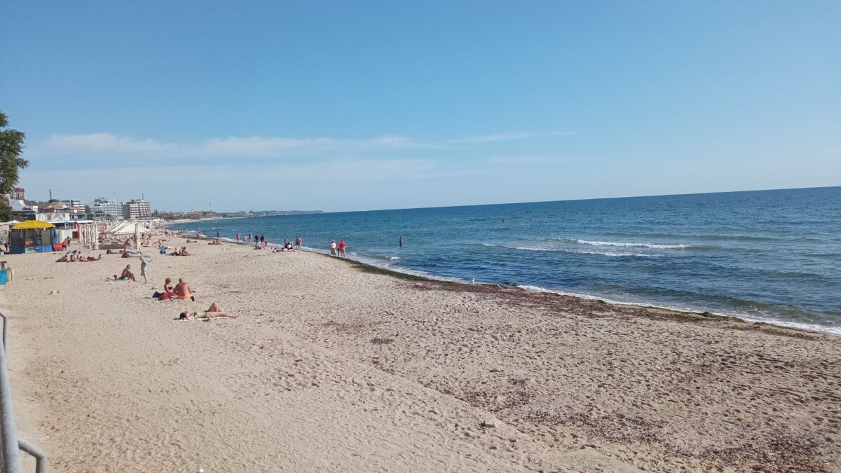 в море чайки, а над ними гордо кружатся бакланы