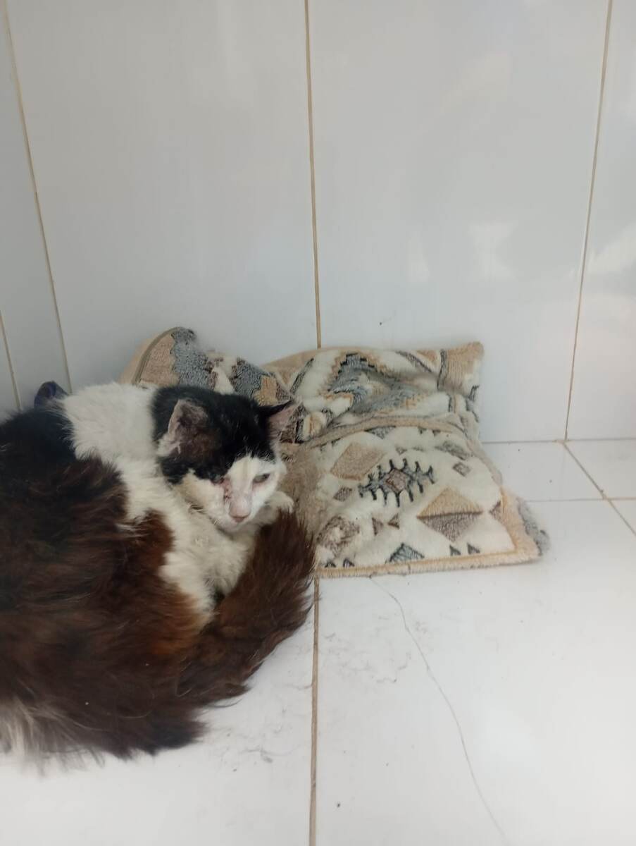 Дедушка в клинике