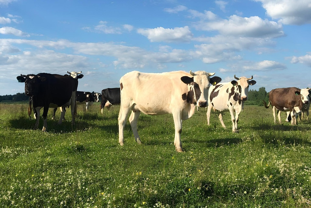Фото предоставлено Иваном Кудласевичем