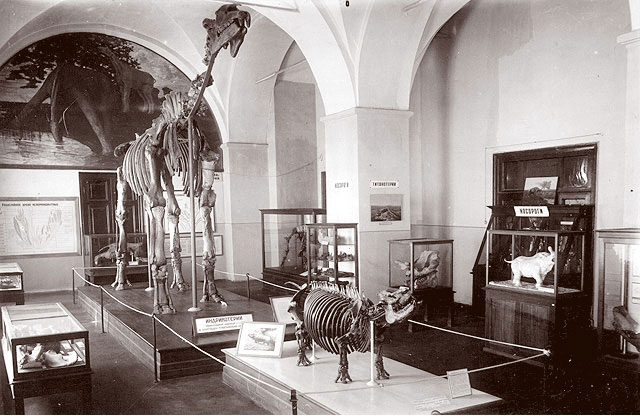 Палеонтологический музей им. Ю.А.Орлова, сайт