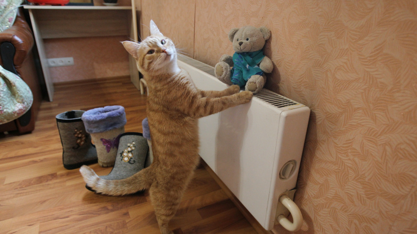    Фото: © РИА Новости/Мария Девахина