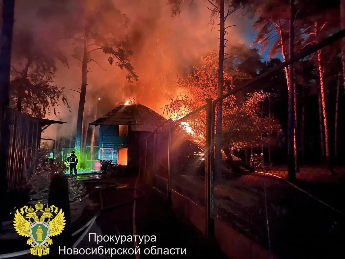    Фото: пресс-служба прокуратуры Новосибирской области