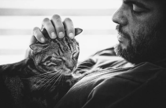 Фото из открытых источников