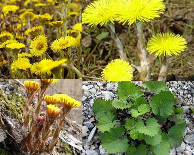 Фото взято из открытых источников