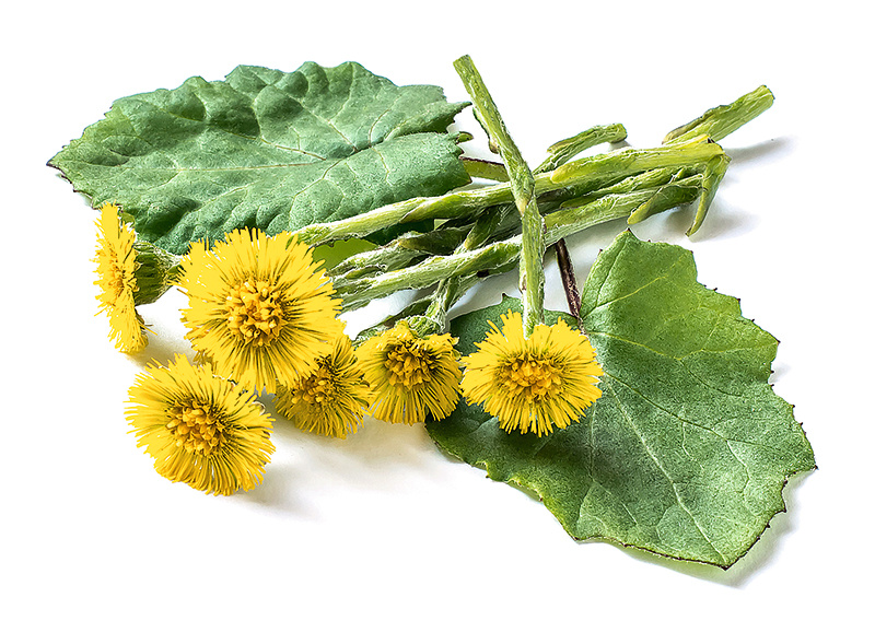 Фото взято из открытых источников