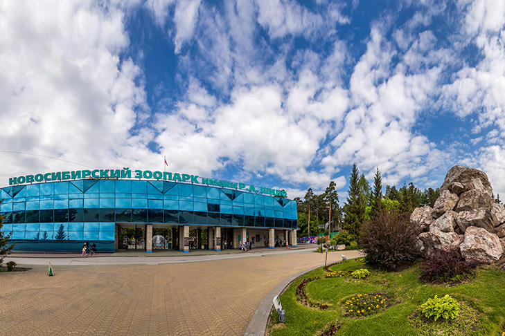    Фото Андрея Заржецкого