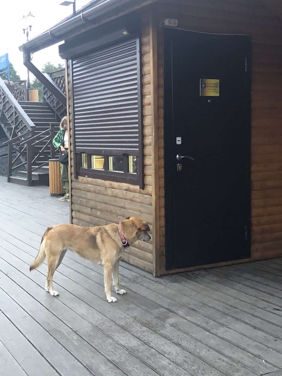 Станционный смотритель в Сортавале )))