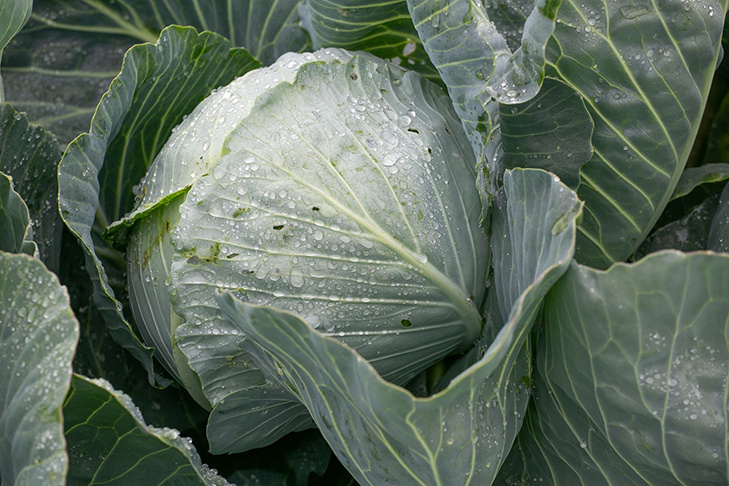    Фото из архива VN.ru