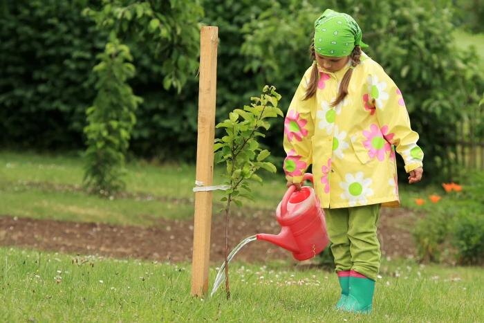 Как правильно посадить яблоню, чтобы она плодоносила, — инструкция. Обложка © Shutterstock / FOTODOM / Inc