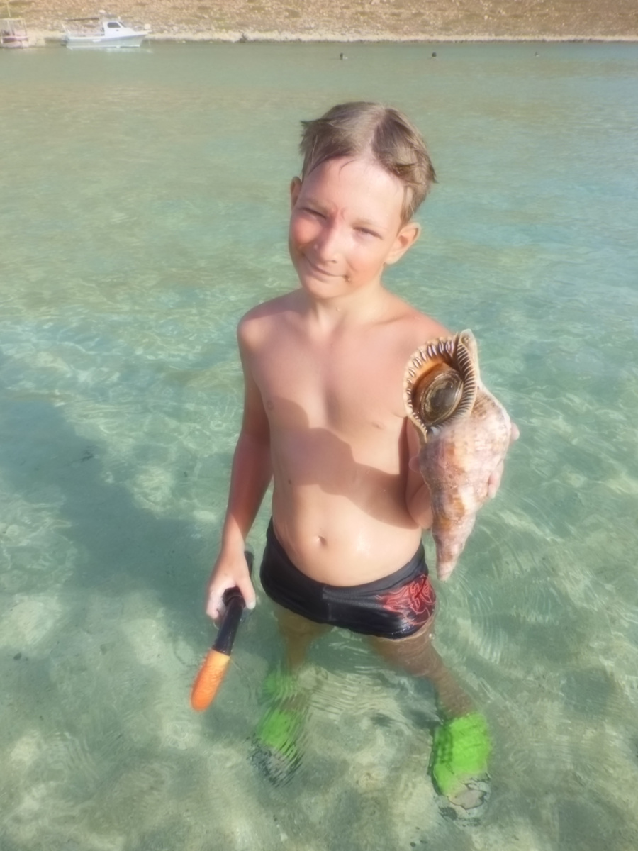 Вот такого зверя мы наныряли на глубине четырех метров, возле скальной стенки на выходе из бухты . С молюском сфотографировался весь пляж, после чего животное вернули в море 