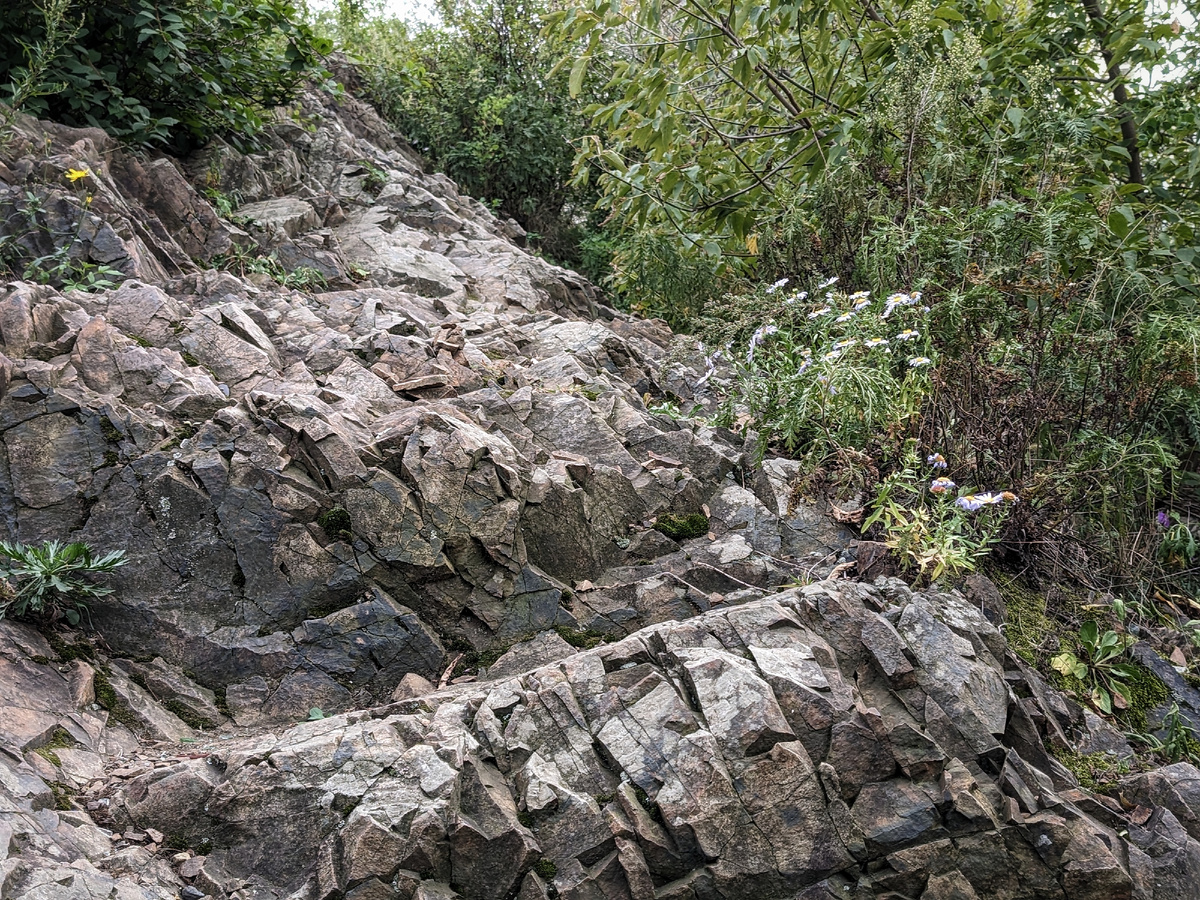 «Морщинистые» скалы Тигровой сопки. 