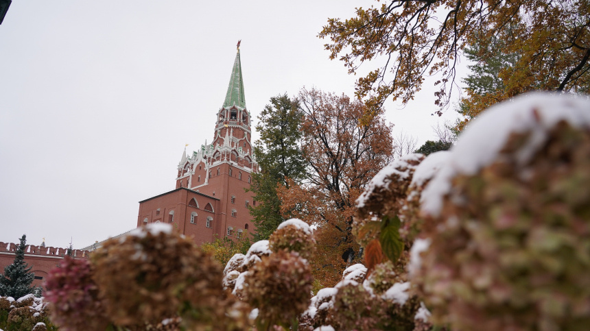    Фото: ИЗВЕСТИЯ/Павел Волков