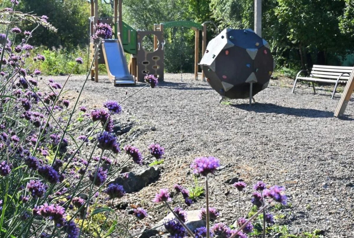    В Хабаровске ТОС превратил обочину дороги в мини-парк на грантовые средства