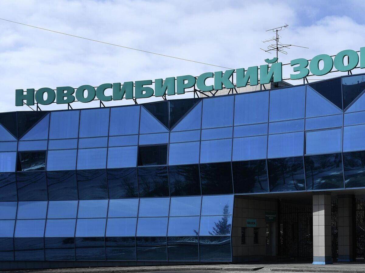   Новосибирский зоопарк© РИА Новости / Александр Кряжев