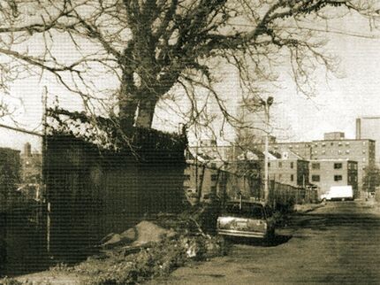 Место обнаружения супругов Стюарт 