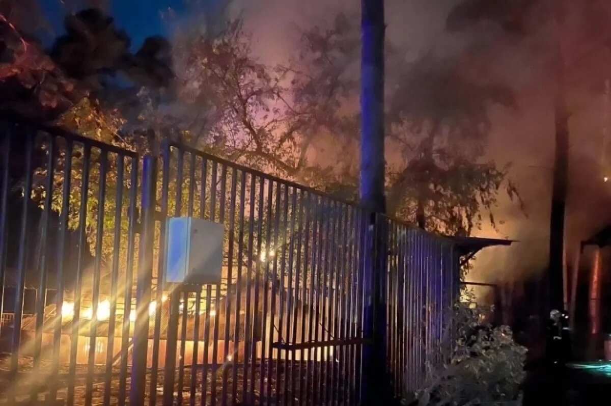    Что произошло в Новосибирском зоопарке? Хронология событий