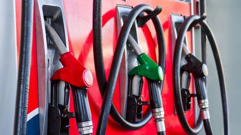    Фото: Lucian Coman / Shutterstock / Fotodom