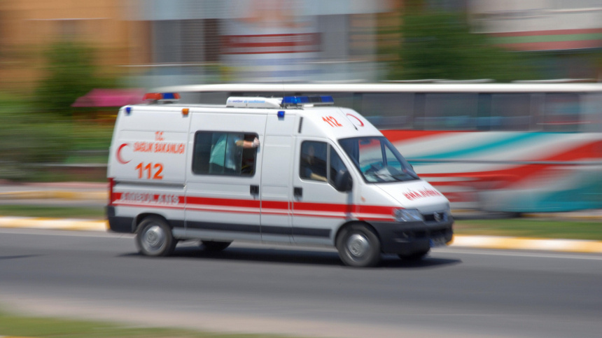    Фото: www.globallookpress.com/Walter G. Allgöwer; 5-tv.ru