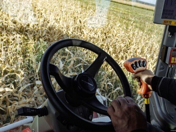     Фото: све.рф