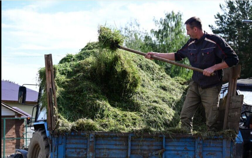     Фото: све.рф