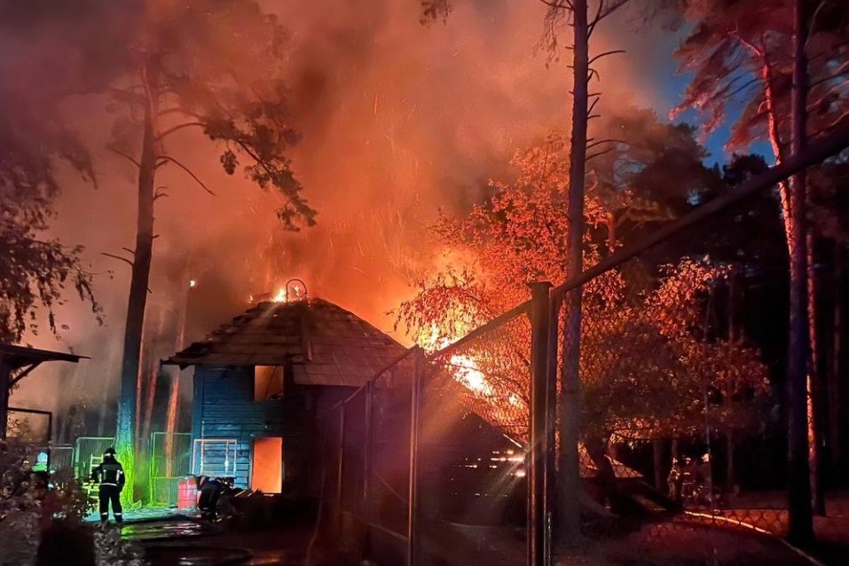    Фото: прокуратура НСО