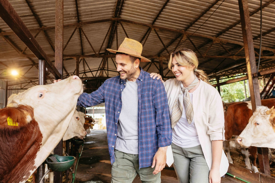    Shutterstock/FOTODOM