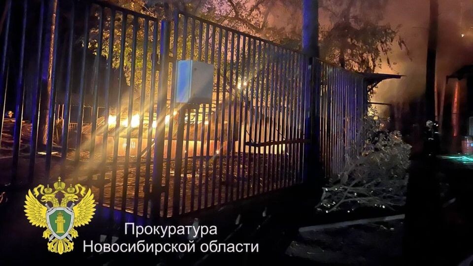    Пожар в Новосибирском зоопарке. Источник: Прокуратура Новосибирской области