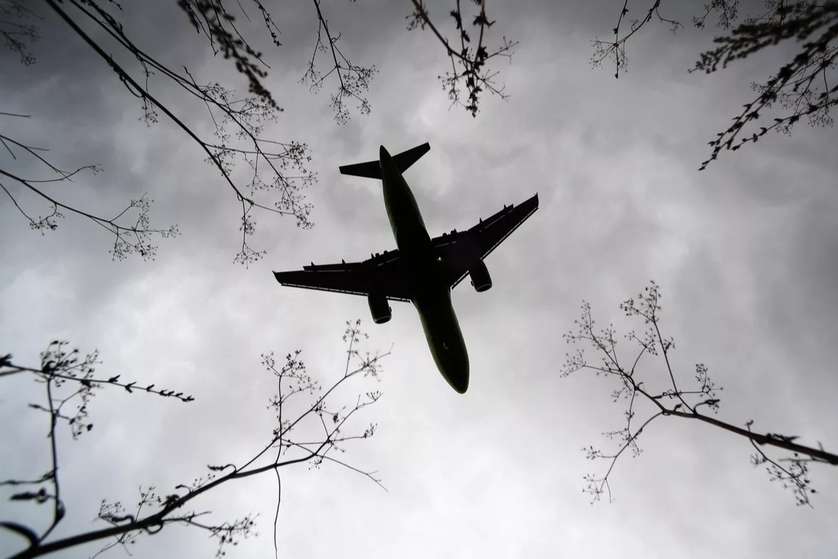    Фото: Максим Богодвив, источник: ria.ru