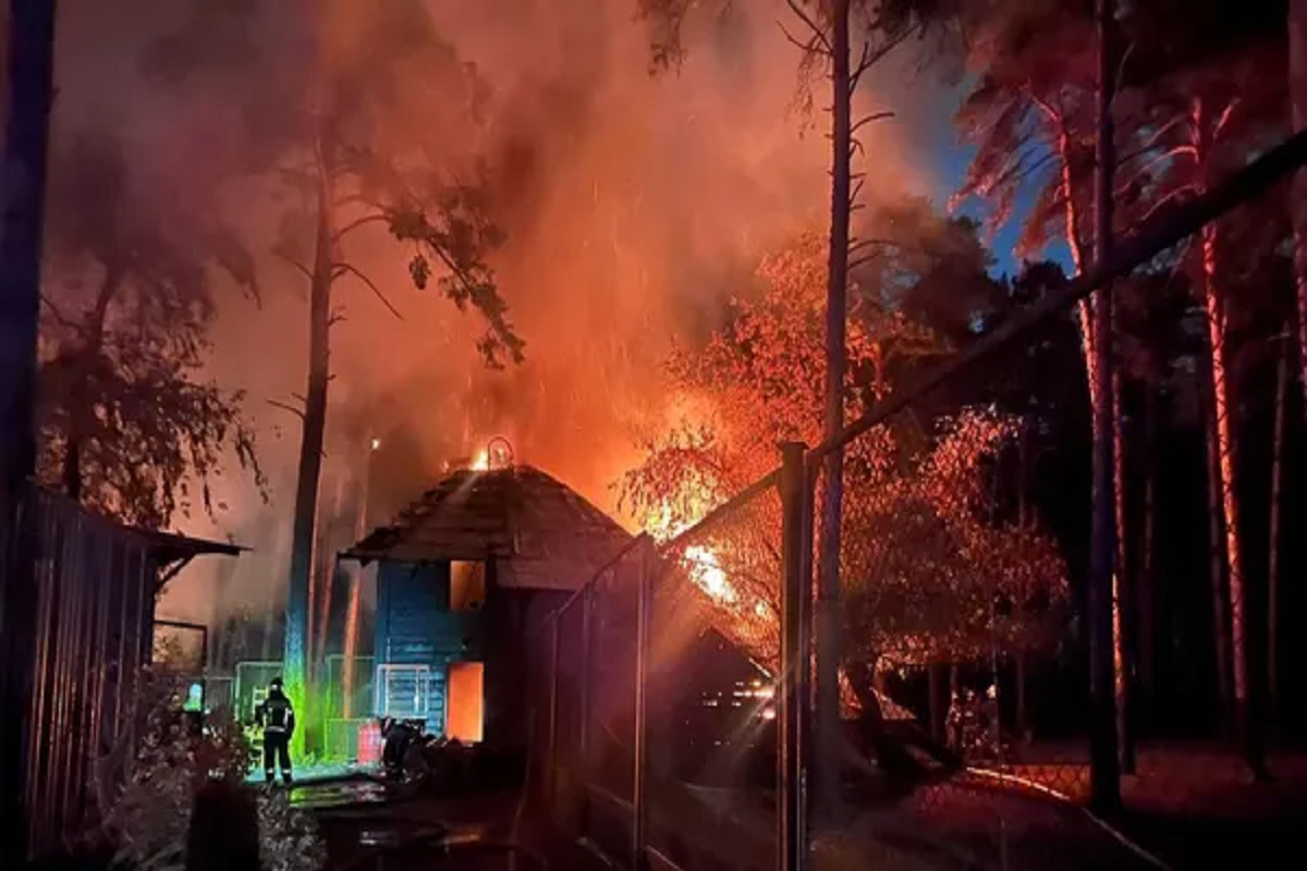    Фото: пресс-служба, источник: прокуратура Новосибирской области