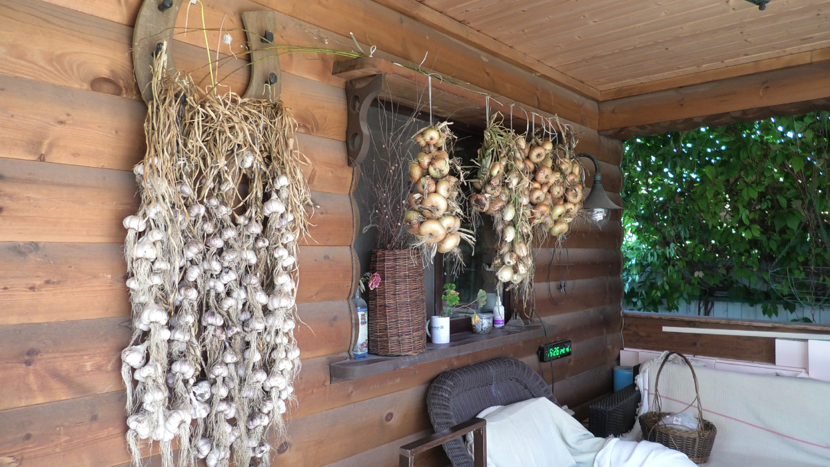 Чеснок на просушке
