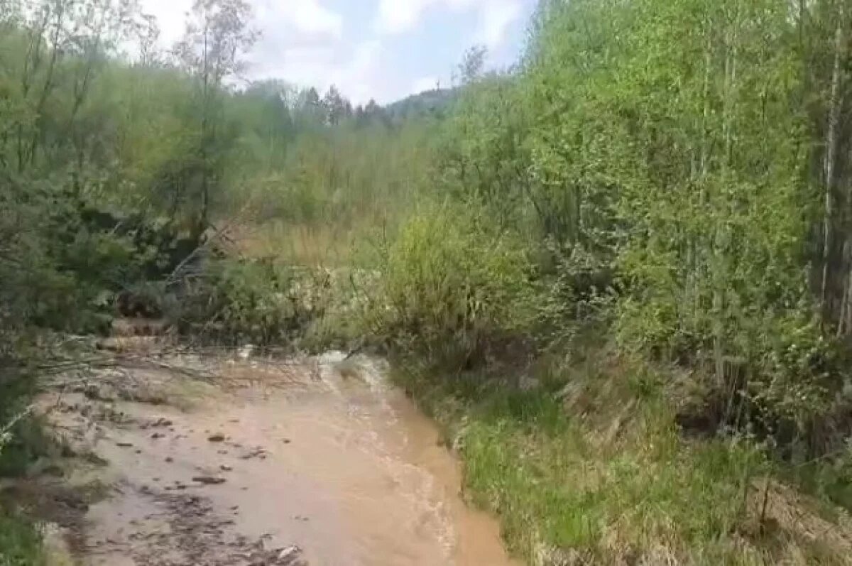    Золотодобытчиков оштрафовали за загрязнение реки в Красноярском крае