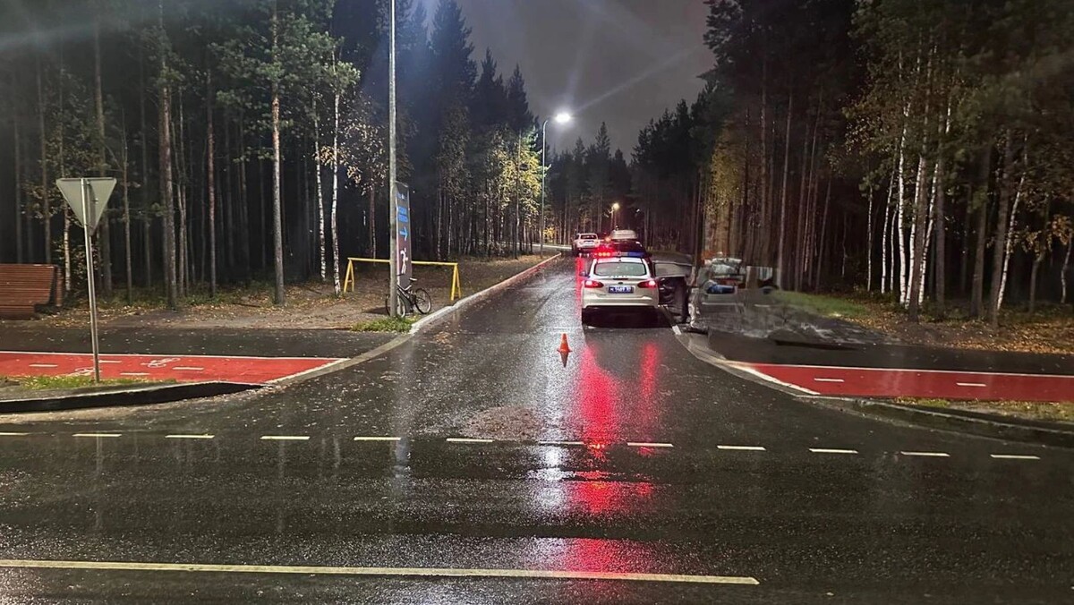    Фото: пресс-служба Госавтоинспекции Ноябрьска