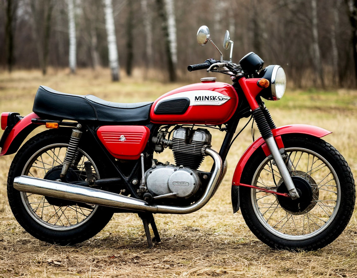   Глазам не поверил, когда увидел цены на новые мотоциклы "Минск" — юношескую мечту можно осуществить на одну зарплату