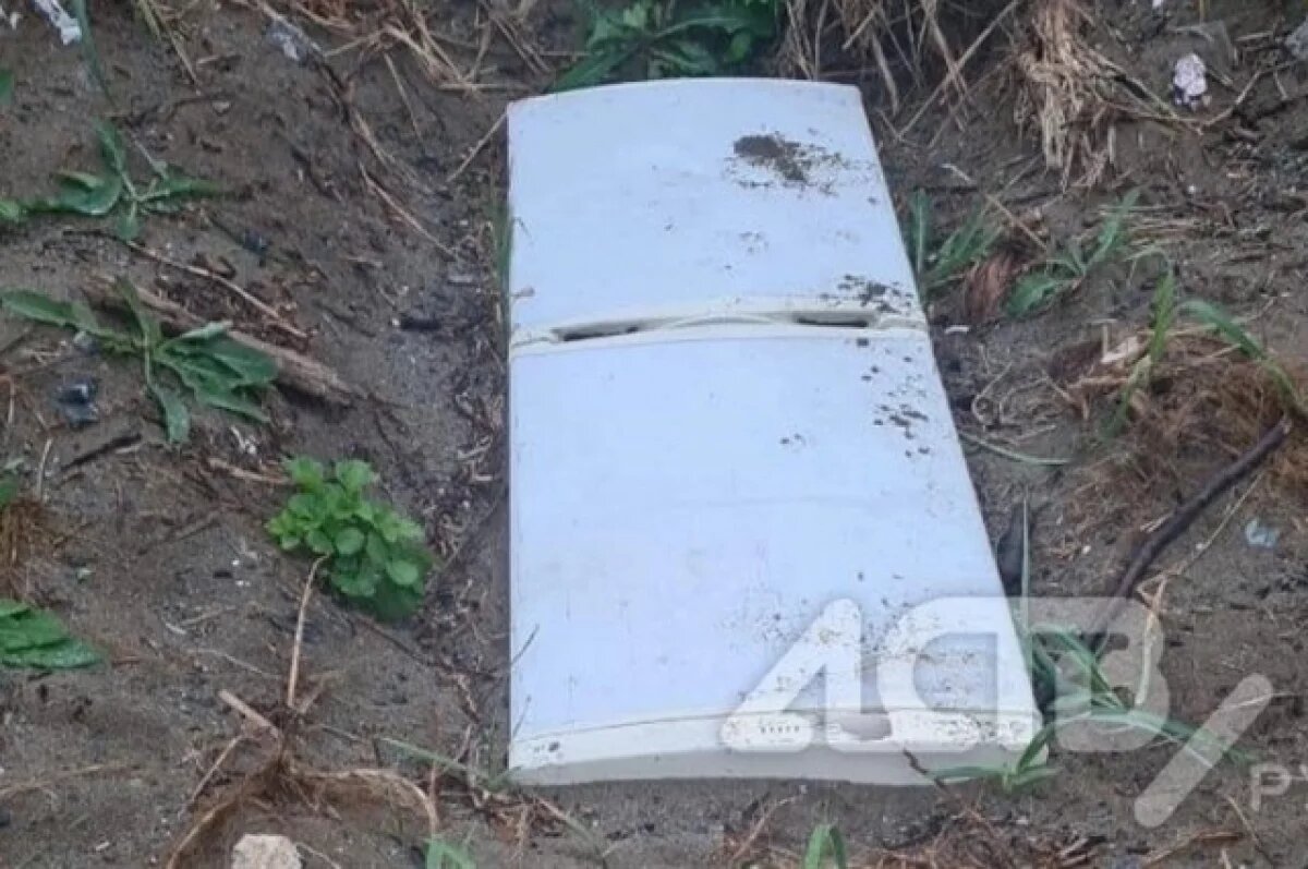    Зарытые в землю холодильники с кровью на дне обнаружили сахалинцы