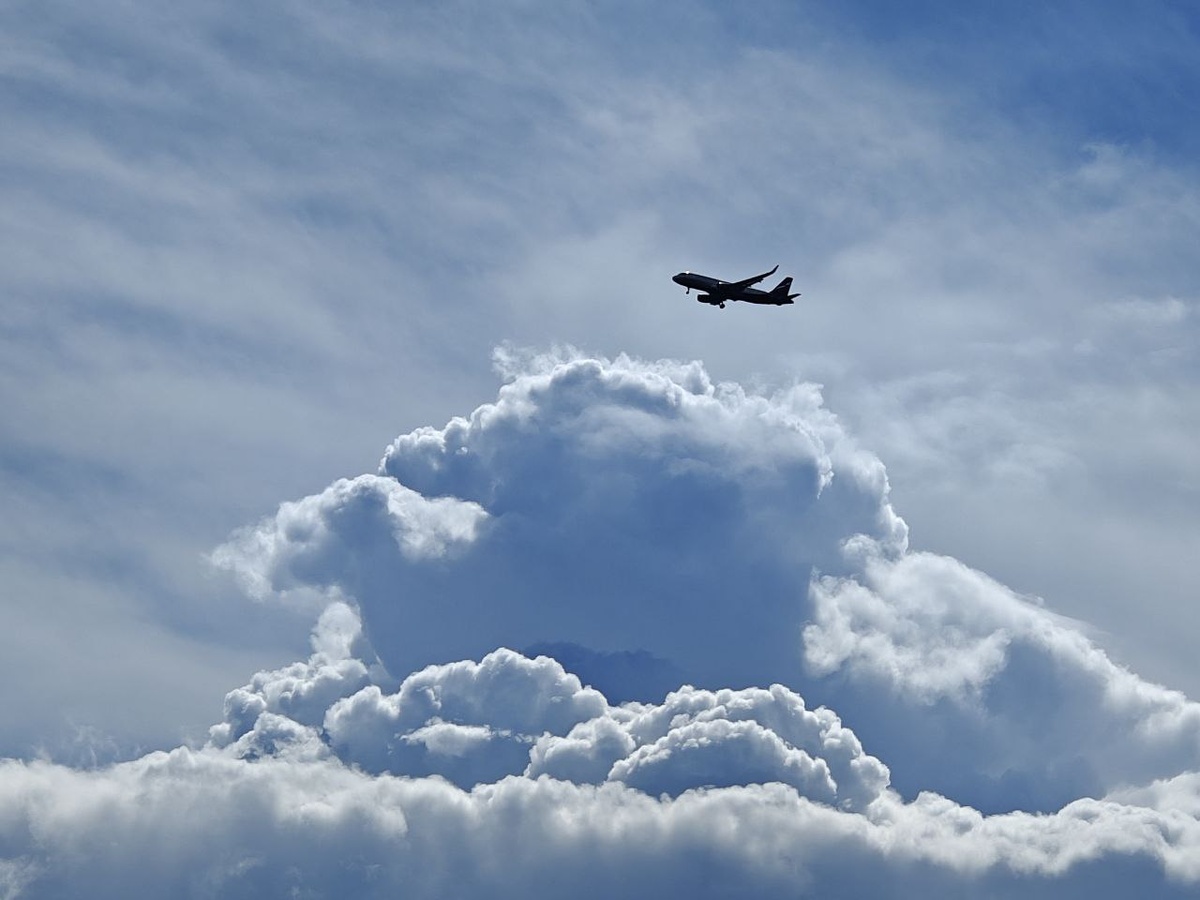    Фото: Юрий Серебренников/BFM Кубань